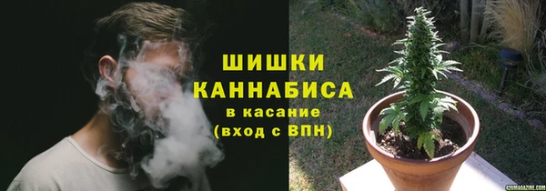 молекула духа Богданович