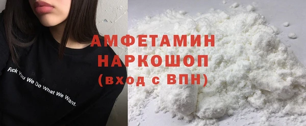 молекула духа Богданович
