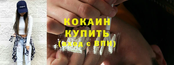 молекула духа Богданович