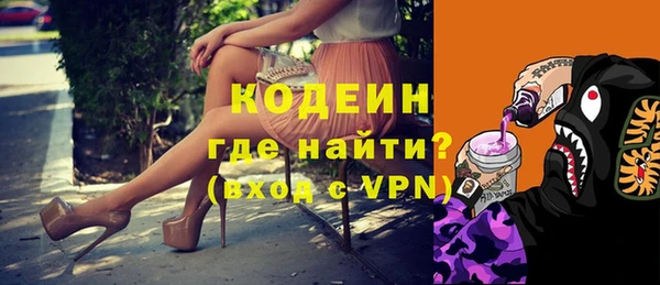 молекула духа Богданович